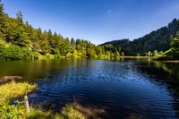 Nonnenmattweiher &copy; Klaus Hansen_Schwarzwald Tourismus