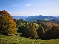 Der Ausblick in Richtung Belchen